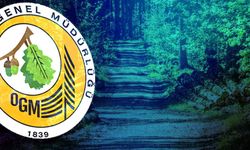 Yeni orman yolları yapım işi ihale edilecek