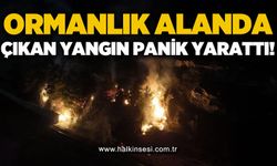 Ormanlık alanda çıkan yangın panik yarattı