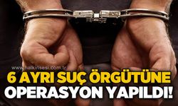 5 ilde 6 ayrı suç örgütüne operasyon!