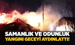 Samanlık ve odunluk yangını geceyi aydınlattı!