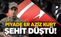Piyade Er Aziz Kurt şehit düştü!