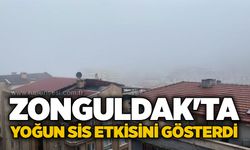 Zonguldak'ta yoğun sis etkisini gösterdi