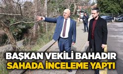 Başkan Vekili Bahadır sahada inceleme yaptı
