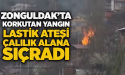 Zonguldak’ta korkutan yangın: Lastik ateşi çalılık alana sıçradı