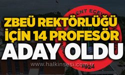 ZBEÜ rektörlüğü için 14 profesör aday oldu