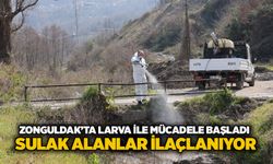 Zonguldak’ta Larva ile mücadele başladı: Sulak alanlar ilaçlanıyor