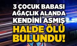 3 çocuk babası ağaçlık alanda ölü bulundu