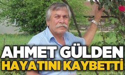 Ahmet Gülden hayatını kaybetti