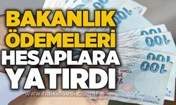 Bakanlık ödemeleri hesaplara yatırdı