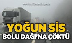 D-100 Karayolu Bolu Dağı geçişinde yoğun sis ve yağış ulaşımı olumsuz etkiledi