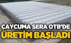 Çaycuma Sera OTB'de üretim başladı