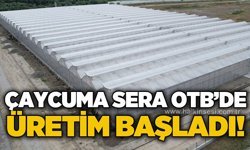 Çaycuma Sera OTB'de üretim başladı