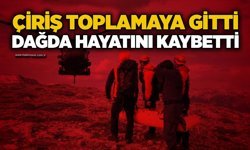 Çiriş toplamaya gitti, dağda hayatını kaybetti