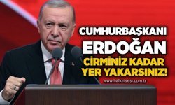 Cumhurbaşkanı Erdoğan: Cirminiz kadar yer yakarsınız!