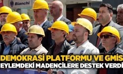 Demokrasi Platformu ve GMİS'ten eylemdeki madencilere destek
