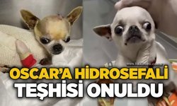 Oscar’a hidrosefali teşhisi konuldu