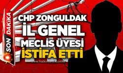 CHP Zonguldak İl Genel Meclis Üyesi istifa etti
