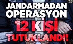 Jandarmadan operasyon: 12 tutuklama