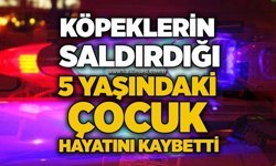 Köpeklerin saldırdığı 5 yaşındaki çocuk hayatını kaybetti
