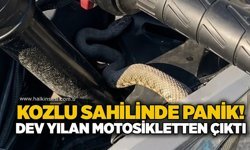 Kozlu sahilinde panik! Dev yılan motosikletten çıktı