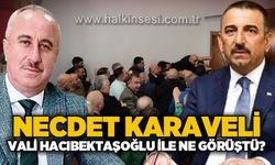 Necdet Karaveli ile Vali Osman Hacıbektaşoğlu ne görüştü?