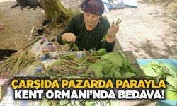 Çarşıda pazarda parayla Kent Ormanı’nda bedava!