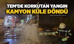 TEM’de korkutan yangın: Kamyon küle döndü