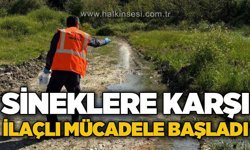 Sineklere karşı ilaçlı mücadele başladı