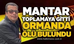 Mantar toplamaya gitti, Ormanda ölü bulundu