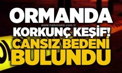 Ormanda korkunç keşif! Cansız bedeni bulundu