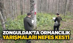 Zonguldak’ta ormancılık yarışmaları nefes kesti