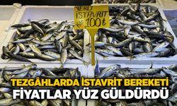 Tezgâhlarda istavrit bereketi: Fiyatlar yüz güldürdü