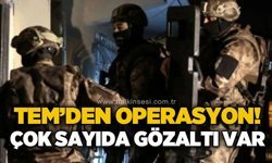 TEM'den büyük operasyon: 10 gözaltı