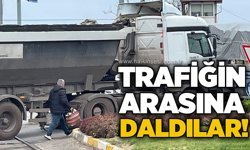 Trafiğin arasına daldılar
