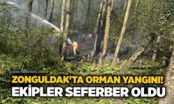 Zonguldak'ta orman yangını! Ekipler seferber oldu
