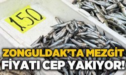 Zonguldak'ta mezgit fiyatı cep yakıyor
