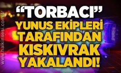 Zonguldak’ta nefes kesen operasyon: Ormanlık alana kaçtı, Yunus ekiplerinden kaçamadı