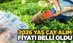 2026 yaş çay alım fiyatı belli oldu