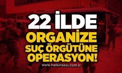 22 ilde organize suç örgütüne operasyon!