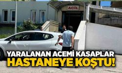 Yaralanan acemi kasaplar hastaneye koştu!