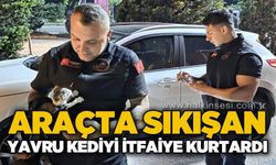 Araçta sıkışan yavru kediyi itfaiye kurtardı