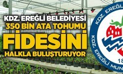KDZ. Ereğli Belediyesi, 350 bin ata tohumu fidesini halkla buluşturuyor