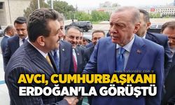 Avcı, Cumhurbaşkanı Erdoğan'la görüştü