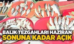 Balık tezgahları haziran sonuna kadar açık