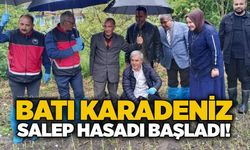 Batı Karadeniz salep hasadı başladı!