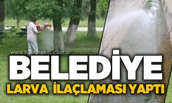 Belediye larva ilaçlaması yaptı