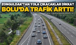 Zonguldak'tan yola çıkacak sürücülere uyarı: Bolu'da trafik arttı!