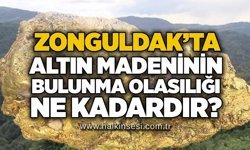 Zonguldak’ta altın madeninin bulunma olasılığı ne kadardır?