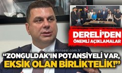 Cem Dereli: Zonguldak’ın potansiyeli var, eksik olan birliktelik!