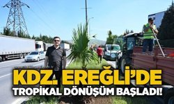 KDZ. Ereğli’de tropikal dönüşüm başladı!